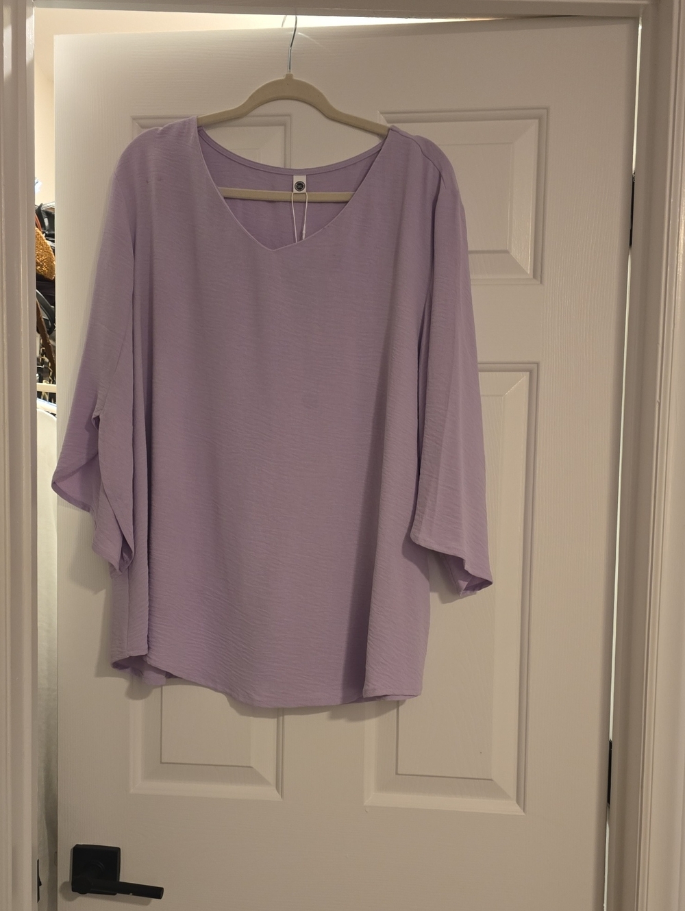Light Lavender V-Neck Women's Blouse by